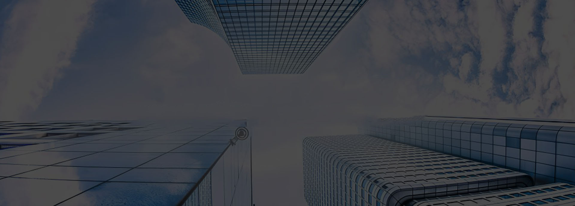 ��ϵ����