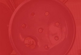 ��ͯ����ƿ